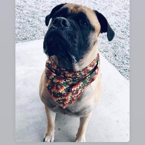 Meet your Posher, Lysa